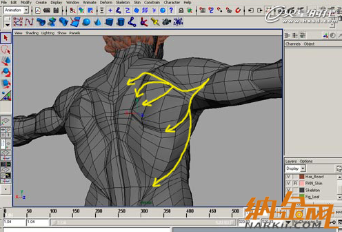 maya肌肉建模技巧 飛特網 maya建模教程