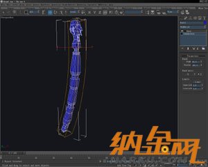 3ds Max 竹節(jié)蟲的建模全功略 飛特網(wǎng) 3DSMAX角色教程