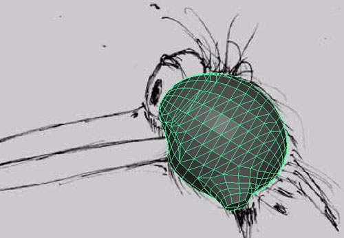 MAYA建模教程:MAYA鳥(niǎo)類建模