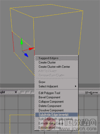 softimage教程之制作動物模型