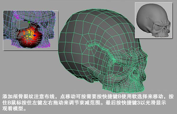 MAYA骷髏建模教程   納金網(wǎng)