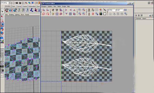 用maya制作逼真的樹葉   納金網(wǎng)