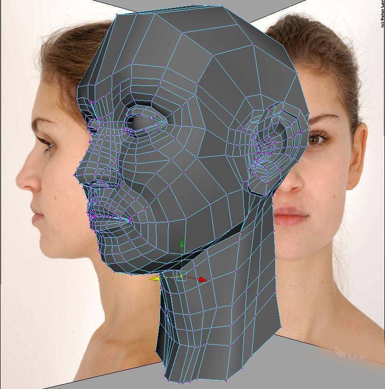 利用MAYA完成角色頭部建模  納金網(wǎng)
